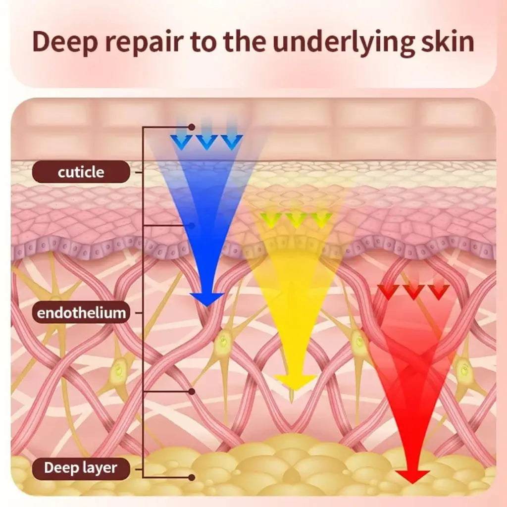 Diagram of skin layers with labels and arrows indicating deep repair process.